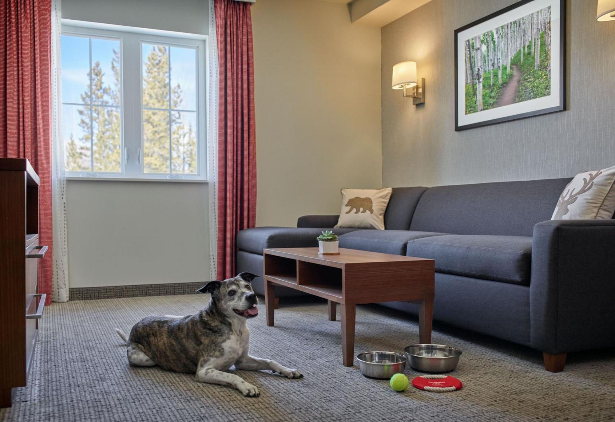 Residence Inn By Marriott Breckenridge Exterior foto